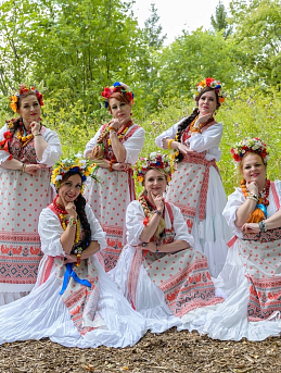 Фартуки из полульна "Вышивка петухи на серо-бежевом" и пояса из лент тканых